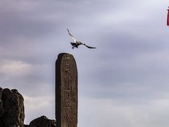 -灵山