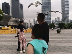 -东港音乐喷泉广场