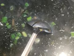 -大厨的餐厅(曾厝垵总店)