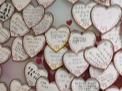 -北京大学肿瘤医院