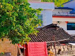 -广州市流溪河国家森林公园