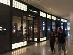 -COACH蔻驰(恒隆广场店)