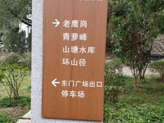 -滴水岩森林公园