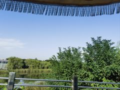 -贡湖湾湿地公园