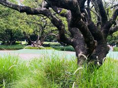 -荔香公园
