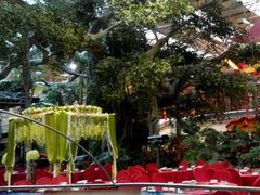 android_upload_pic-新世纪绿洲(抚顺店)