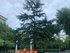 -西安市长乐公园