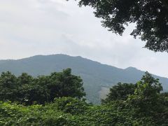 -广州市石门国家森林公园