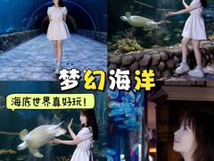 -华夏文旅西安度假区