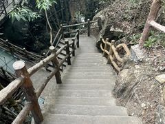 -南丹山森林王国