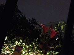 餐厅-花马天堂云南餐厅 Lost Heaven(高邮路店)