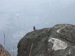-凤凰山