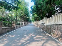 -八大关景区