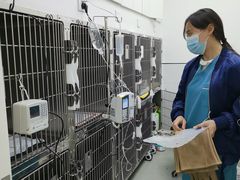 -中农国际动物医院24小时·猫科·骨科·急重症中心