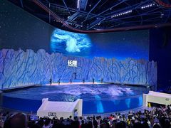 -珠海长隆海洋王国