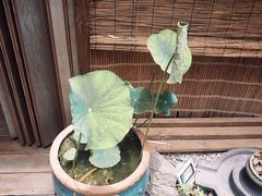 -厚山庭院重庆老火锅