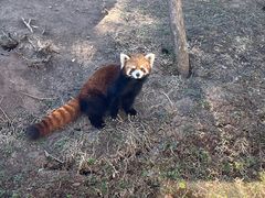 -沈阳森林动物园