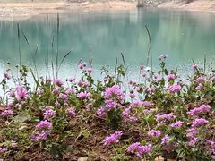 -大雁山风景区