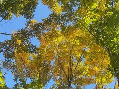 -北京雁栖湖国际会展中心