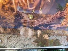 -重庆欢乐海底世界