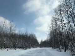 -长白山万达喜来登度假酒店