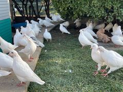 -朝阳公园