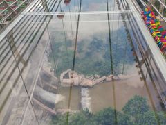 -客天下恐龙水晶玻璃桥