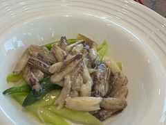 -新光酒家·河豚·海鲜·蟹料理(浦东店)