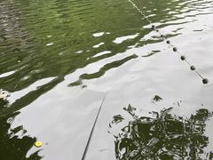 -重庆彩云湖湿地公园