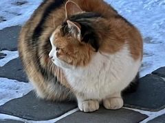 -云峰山自然风景区