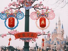 -上海迪士尼度假区