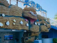 -瑞德姆美人鱼海底演艺主题餐厅(亚龙湾店)