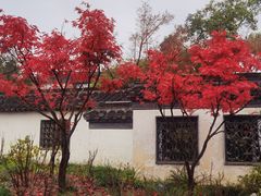 -何园