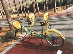 游乐设施-黄海国家森林公园