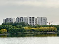 -大兴滨河森林公园