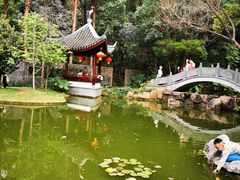 -深圳国际园林花卉博览园