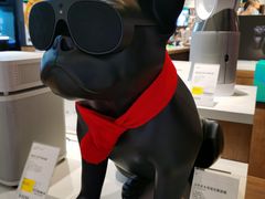-sundanpulse顺电·脉(海岸城购物中心店)