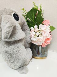 -深圳颜伊医疗美容门诊部