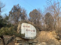 -白水寺森林公园