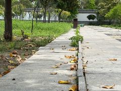 -商丘古城-应天书院