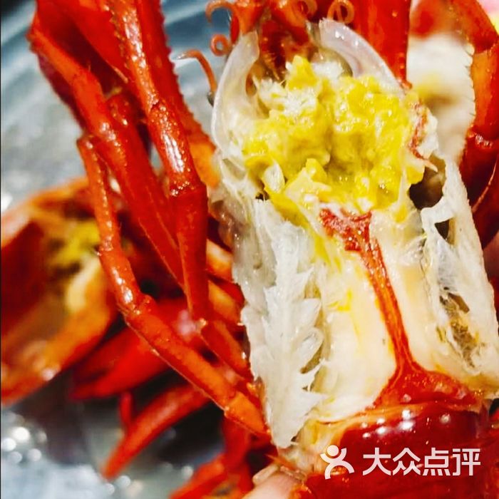 只要大肚皮龙虾