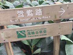 -茂德公草堂