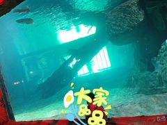 -华夏文旅海洋公园