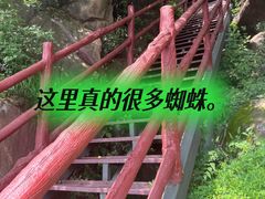 -北京凤凰岭