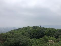 -灵岩山风景区