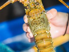 -得记得潮州海鲜砂锅粥(宝业路店)