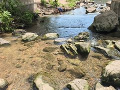 -重庆彩云湖湿地公园