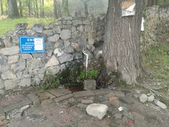 -阳台山自然风景区