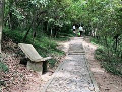 -上海佘山国家森林公园天马山园