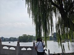 -莲花池公园